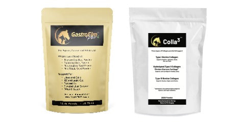 Big Bag GastroElm Plus & Colla3 Combo